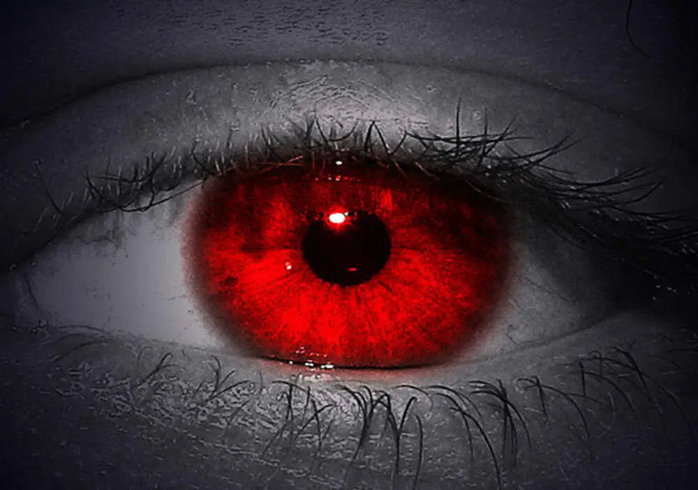 its eyes are bloodshot pagalworld